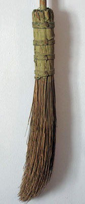Early Broom in Paint